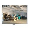 廣州與佛山柴油發(fā)電機組廠家 能源行業(yè)的可靠供應(yīng)商